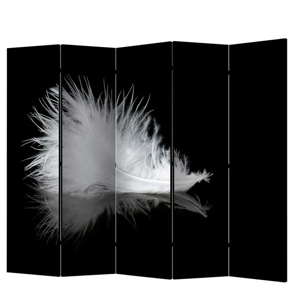 Paravent Raumtrenner Salzburg*Pharao24 New