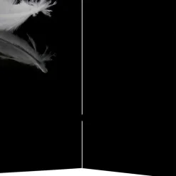 Paravent Raumtrenner Salzburg*Pharao24 New