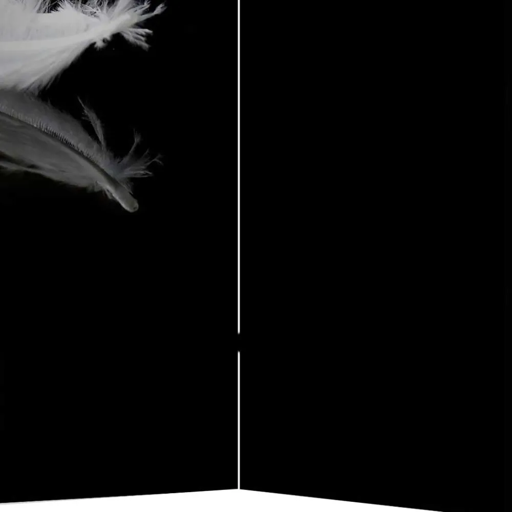 Paravent Raumtrenner Salzburg*Pharao24 New