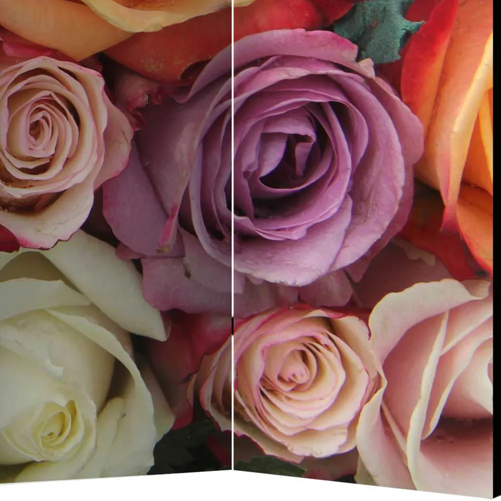 Best Paravent Umkleide Intiatos Raumteiler|Paravents