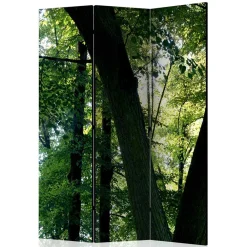 Paravent Wald Samsia*Pharao24 Clearance