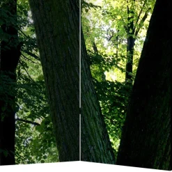 Paravent Wald Samsia*Pharao24 Clearance