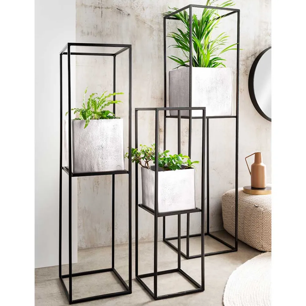 Pflanzensäule Centauro*Pharao24 Best