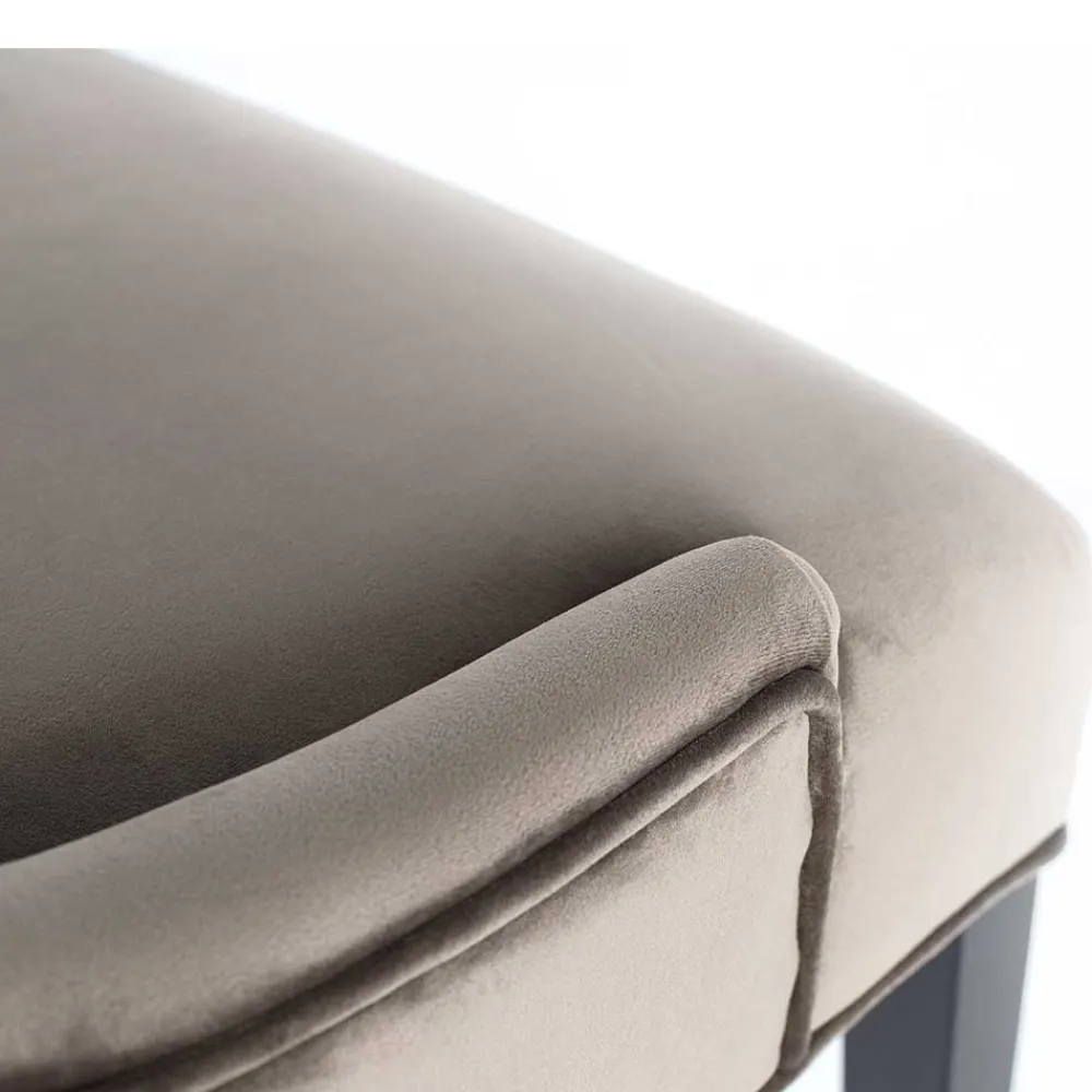 New Polsterstuhl Cocondar Küchenstühle|Esszimmerstühle