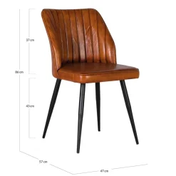 Polsterstuhl Cosimo*Pharao24 Outlet