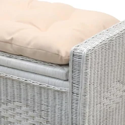 Outlet Rattan Sitztruhe Drikes Truhen