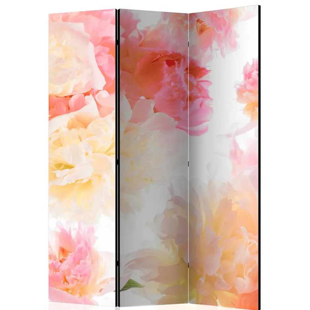 Raum Trennwand Indicio*Pharao24 Outlet