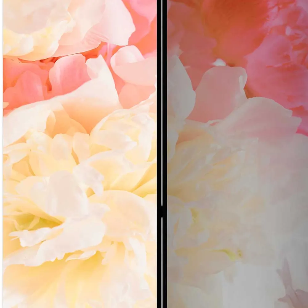 Raum Trennwand Indicio*Pharao24 Outlet