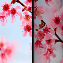 Raumteiler Vilado*Pharao24 Discount