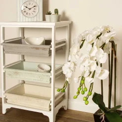 New Regal Elefona Massivholzregale|Standregale