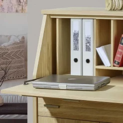 Schranksekretär Ciango*Pharao24 Hot