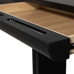 Schreibtisch Guardia*Pharao24 Sale