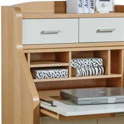 Sekretär Dobrota*Pharao24 Sale