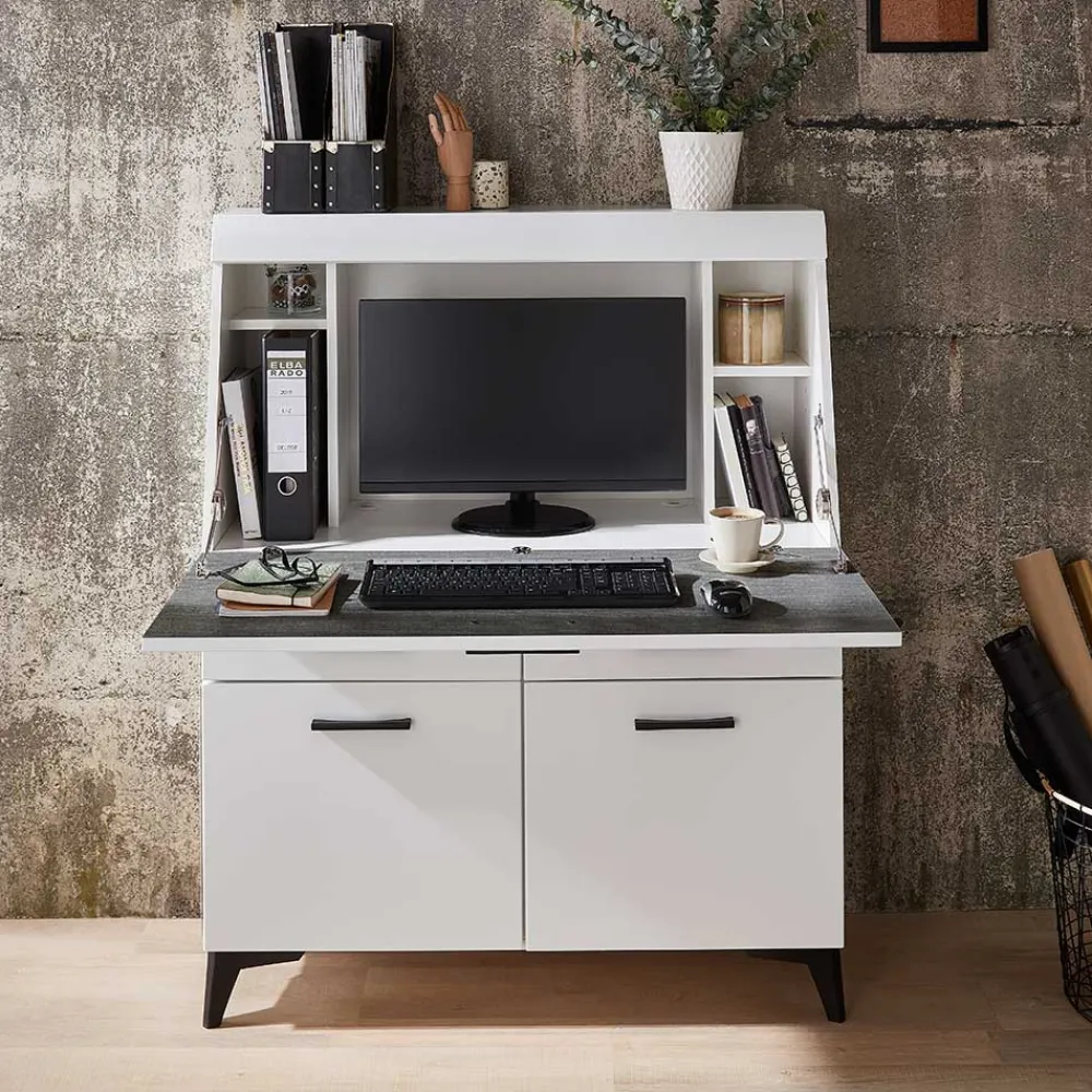 Sekretär Sancho Highboards|Highboards