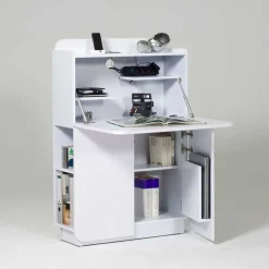 Sekretär Shaker*Pharao24