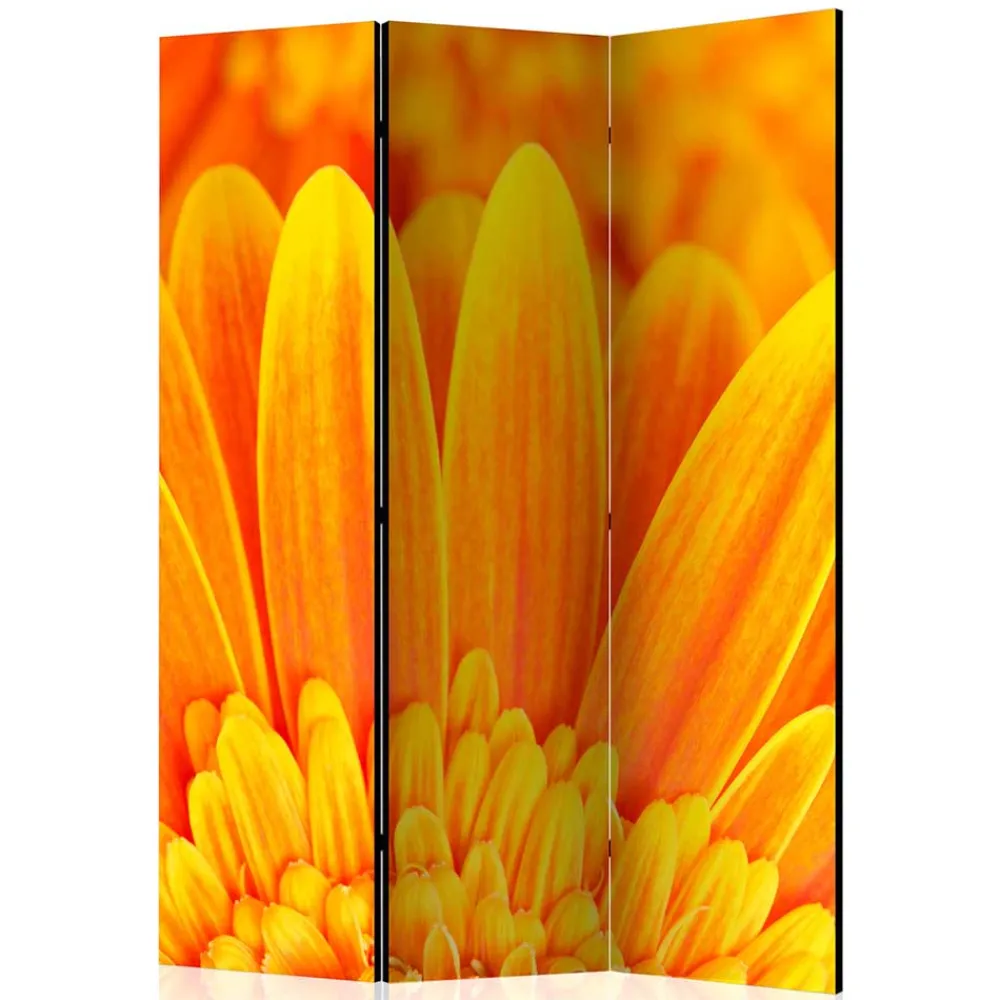 Sichtschutz Viraneos*Pharao24 Discount