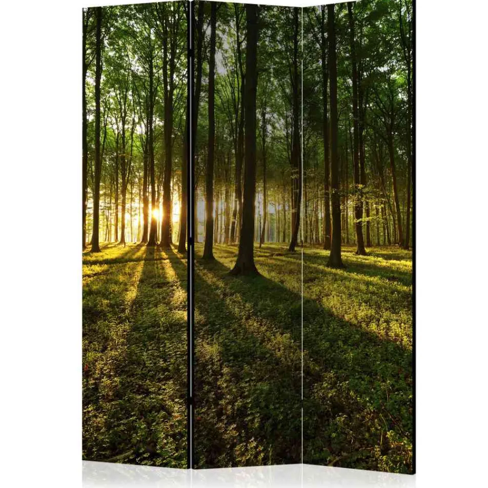 Spanische Wand Phiano*Pharao24 Online