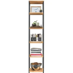 Standregal Dairos*Pharao24 Hot