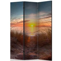 Strandmotiv Paravent Zandraca*Pharao24 Clearance