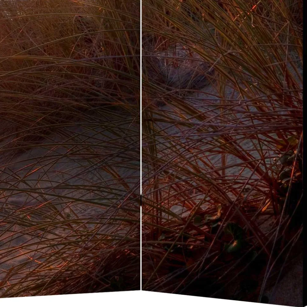 Strandmotiv Paravent Zandraca*Pharao24 Clearance