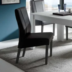 Outlet Stuhl Set Duno Hochlehner|Lederstühle