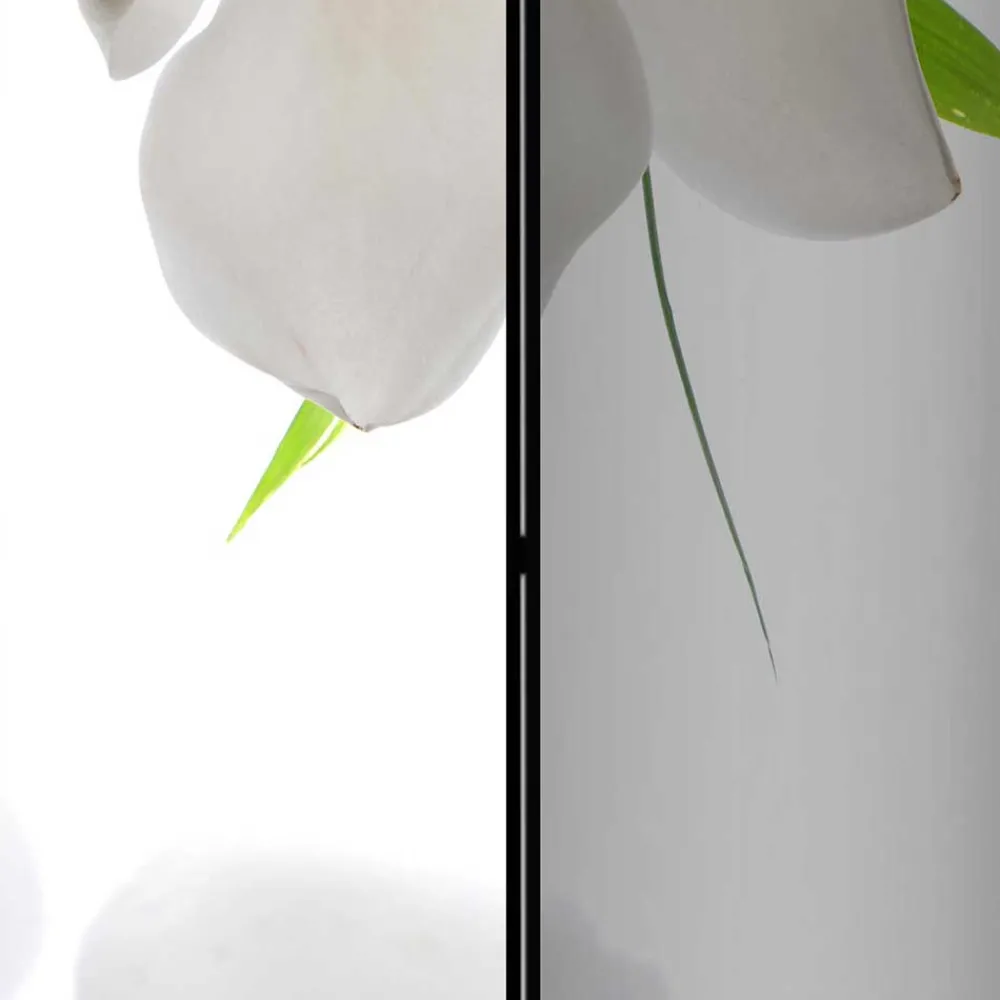 New Trennwand Paravent Dalma Raumteiler|Paravents