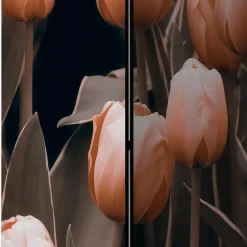 Trennwand Paravent Speranza*Pharao24 Best