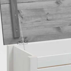 Truhe Benfitas*Pharao24