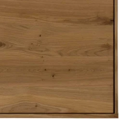 TV Wohnwand Wildeiche Onitos*Pharao24