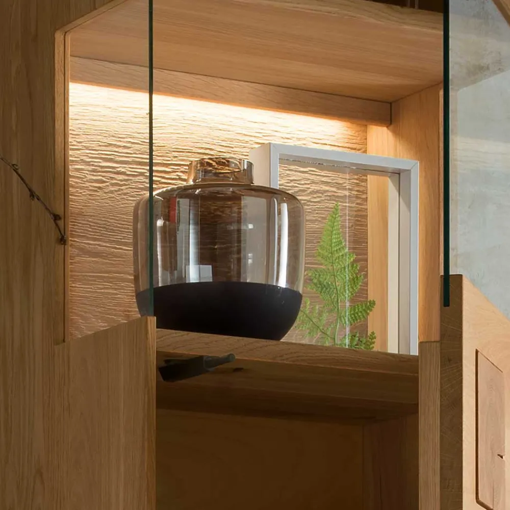 TV Wohnwand Wildeiche Onitos*Pharao24