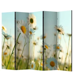 Best Umkleidewand Bergen Paravents