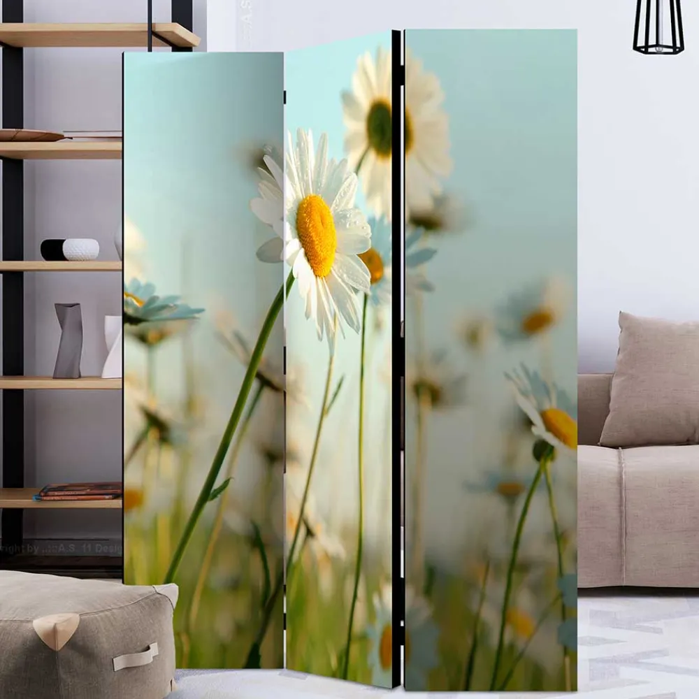 Best Umkleidewand Bergen Paravents