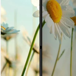 Best Umkleidewand Bergen Paravents