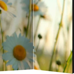 Best Umkleidewand Bergen Paravents