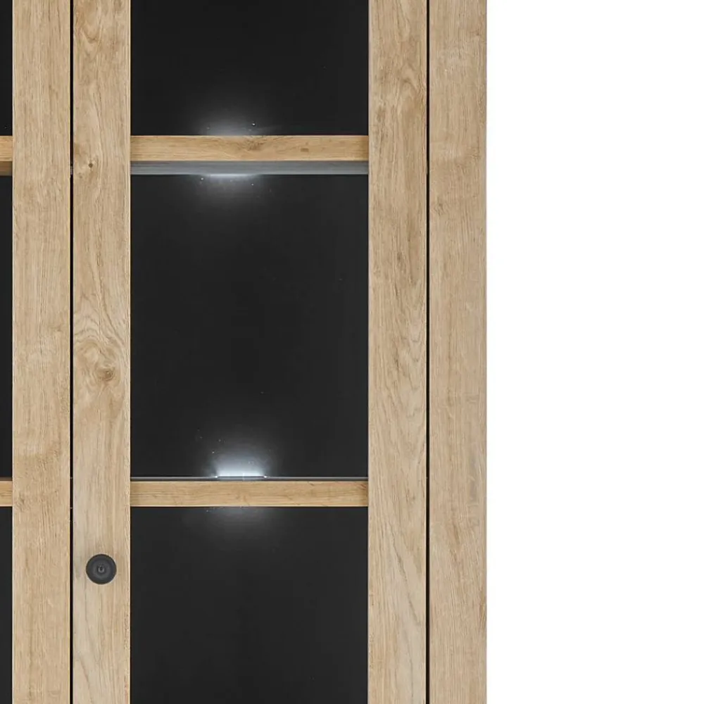 Hot Vitrine Jennva Büchervitrinen