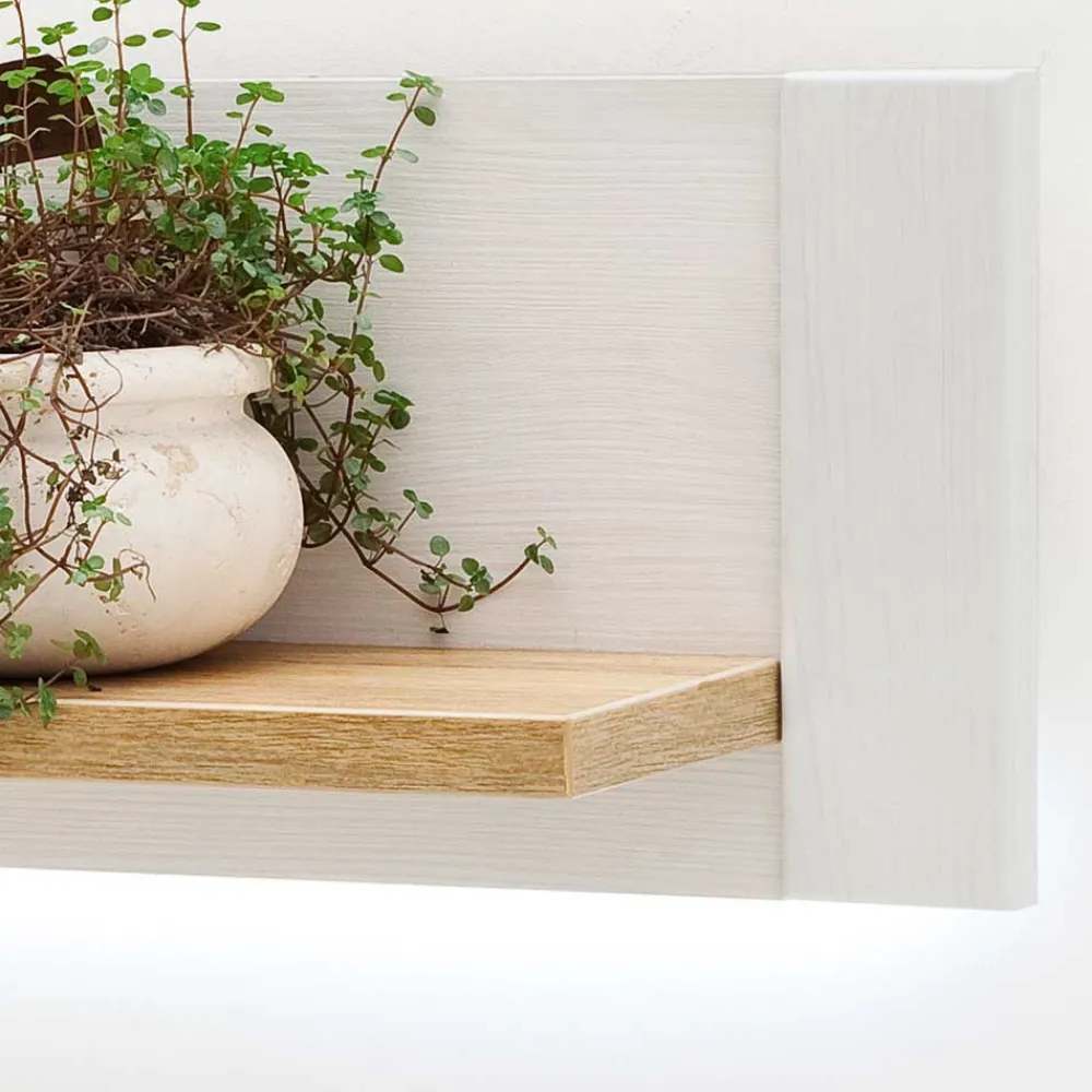 Discount Wandboard Wonders Hängeregale|Wandregale