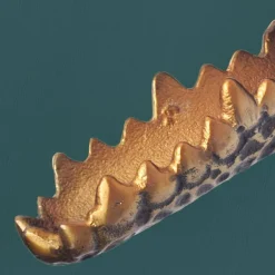 Wanddeko Modiass*Pharao24 Online