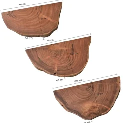 Online Wandregal Set Efena Wohnzimmerregale|Massivholzregale