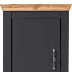 Wohnzimmerschrank Saridio Stauraumvitrinen